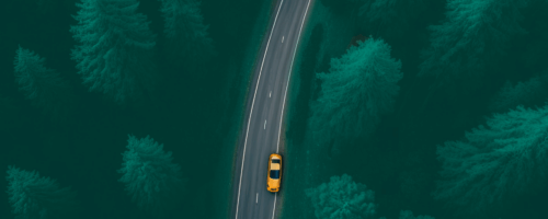 yellow car on a road in the woods